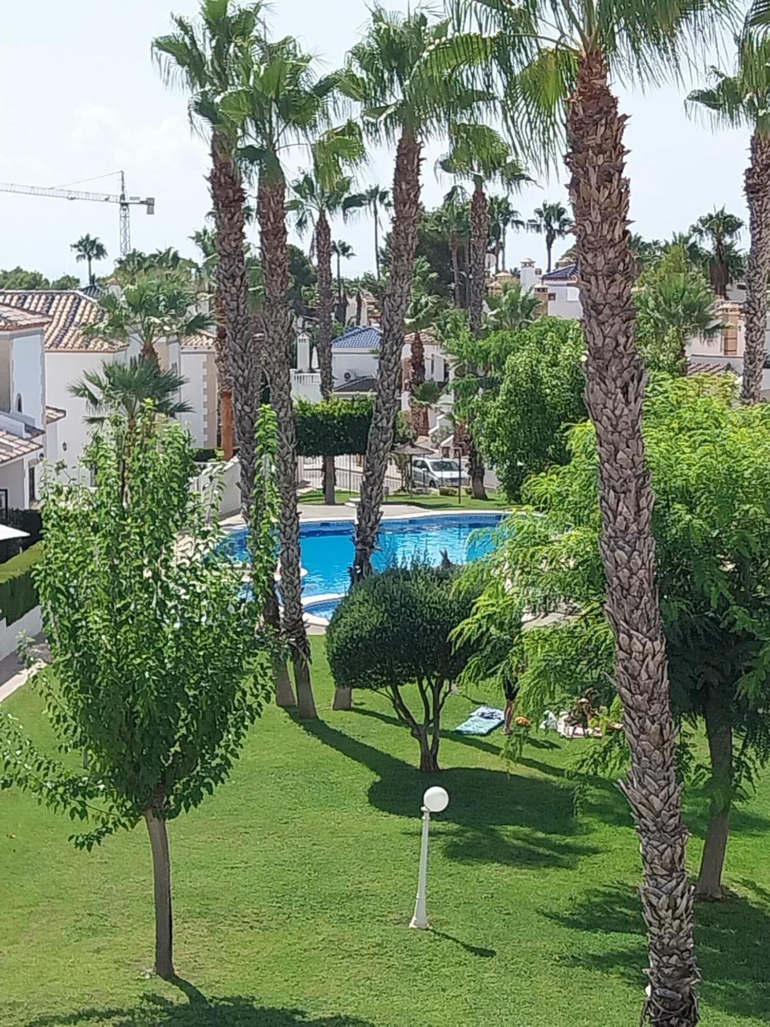 Charming Apartment In Front Of Villamartin Golf And Plaza Exterior foto