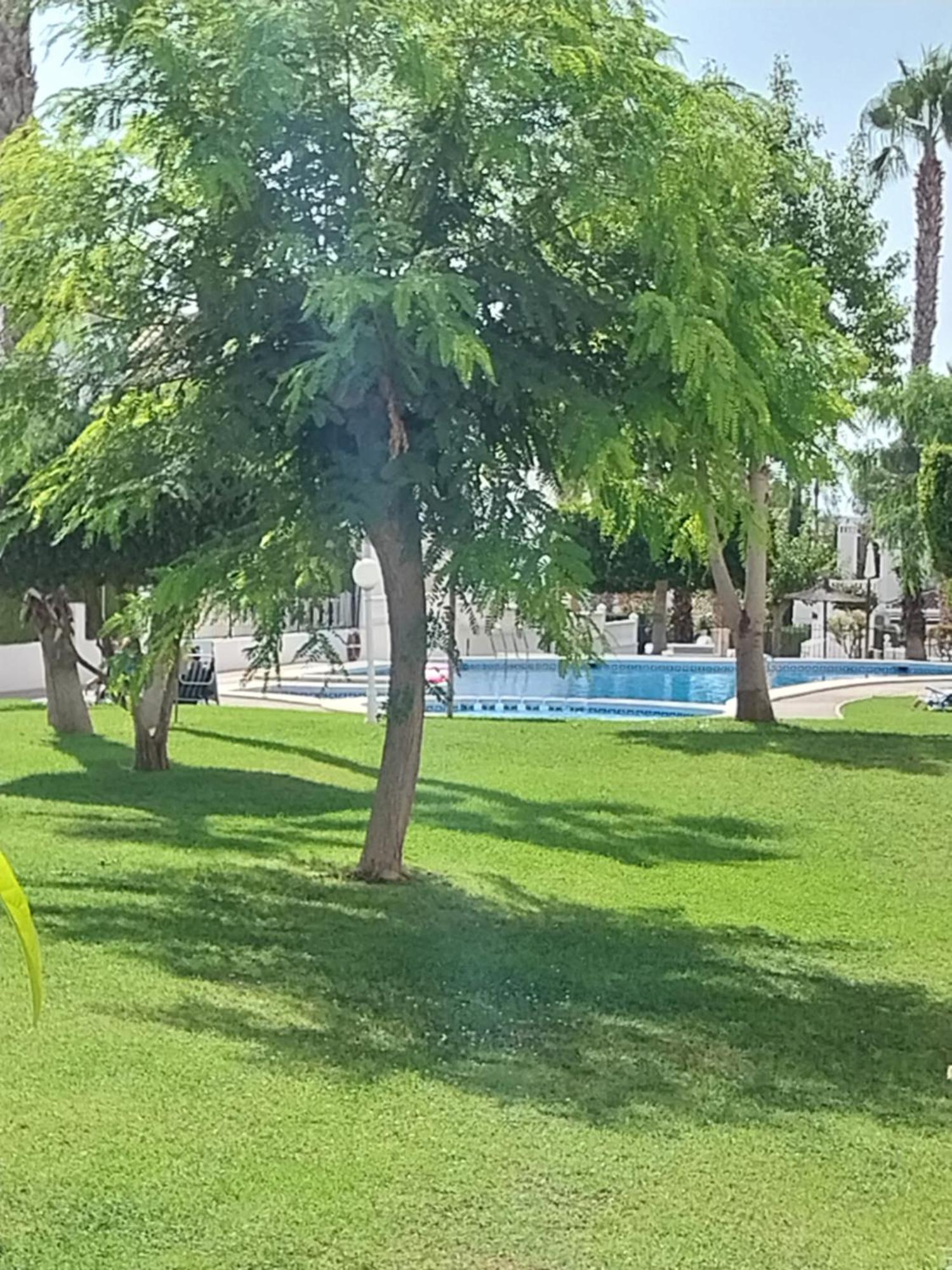 Charming Apartment In Front Of Villamartin Golf And Plaza Exterior foto